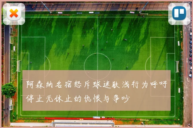 阿森纳名宿怒斥球迷肤浅行为呼吁停止无休止的仇恨与争吵