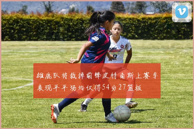 雄鹿队将裁掉前锋皮特南斯上赛季表现平平场均仅得54分27篮板